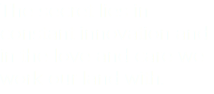 The secret lies in constant innovation and in the love and care we work our land with.